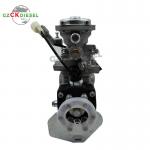 Fuel Injection Pump 0460414243 VE4/11F1800L1037-1 0460414199 VE4/12F1800L732-1