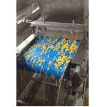 Automatic Coconut Granule Spreader Machine For Sales for sale