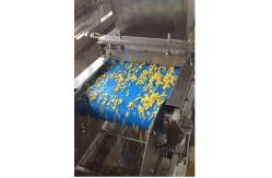 China Automatic Coconut Granule Spreader Machine For Sales supplier