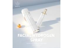 China Facial Nano Hydrogen Mist Spray WEIZI with Food grade PC Body supplier