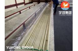 China ASTM B111 C44300 Heat Exchanger Refrigerator Condenser Admiralty Brass Seamless Tubes supplier