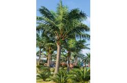 China Large S Shape Artificial Coconut Palm Tree Height 4-15m UV Resistance supplier