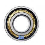 Reducer Cylindrical Roller Bearings RN203ECM RN204ECM RN205ECM RN206ECM Cylindrical Roller Bearing