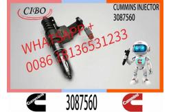 China 3087733 Diesel Fuel Injector N14 Common Rail Injector 3087560 3411752 3411765 supplier