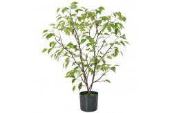 China Frabric Leaves Artificial Banyan Tree Complex Branch Interior Decoration supplier