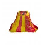 Customized Large Children Fun Park Inflatable Slide For Rentals for sale