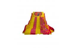 China Customized Large Children Fun Park Inflatable Slide For Rentals supplier