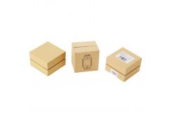 China Foam Insert Square Kraft Electronics Packaging Box 120*120*100mm supplier