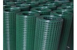 China 1/2 Inch PVC Plastic Coated Galvanised Mesh Zinc Coated Wall Plastering supplier