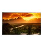 21.5 inch P215HAN01.0 1280*1024 96PPI TFT LCD Screen for sale
