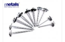 China Collated Galvanized Hot Dipped Roofing Nails With Smooth Shank supplier