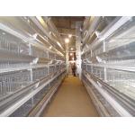 9 Tiers Poultry Battery Layer Chicken Cage Hopper Feeding for sale