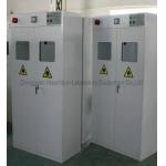Anti Acid 2 Gas Bottle Storage Cabinet With Automatic Monitoring Function for sale