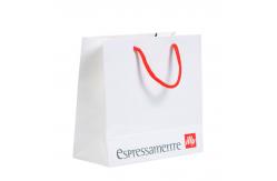 China Printed Paper E Commerce Bags Packaging Twist Handle Matt Lamination supplier