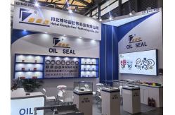 China TB TYPE Oil Seal manufacturer