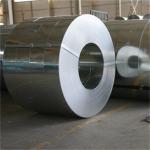 0.25mm Thickness Hot Galvanized Steel Coil For Decoration SGCC TS550-570 for sale