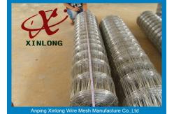 China High Securety Galvanized Field Fence For Cattle / Horse / Sheep Good Flexibility supplier