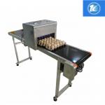 Egg Continuous Inkjet Printer Personalized Configuration Integrated Rack for sale