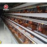 43*41*41cm Per Door Size A Type Battery Cage Poultry Farming for sale