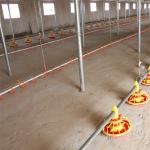 Complete Auto Broiler Poultry Farm System For Chicken Water