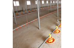 China Complete Auto Broiler Poultry Farm System For Chicken Water supplier