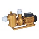 Swimming Pool Dedicated Copper Pump for sale