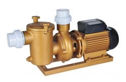 China Swimming Pool Dedicated Copper Pump supplier