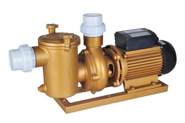 Swimming Pool Dedicated Copper Pump