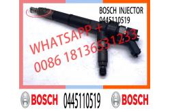 China Common Rail Diesel Injector 0445110519 For Mercedes Benz MITSUBISHI Engine supplier