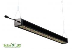 China 120° 630W Horticulture Full Spectrum IP65 LED Grow Lights supplier