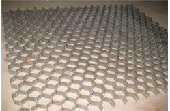 China Wear Resistant Hex Mesh Refractory Hexagonal Cellular Grating supplier