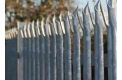 China Sharp Profiled Heads H2.4m palisade Welded Wire Garden Fence supplier