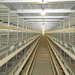 50000 Birds 5tiers Battery Chicken Cage Equipment Laying Hens Use ISO9001 Approval for sale