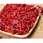 13-16cm Erjingtiao Dried Chilis 12000shufrom Peppers Sodium Nutrition 32mg for sale