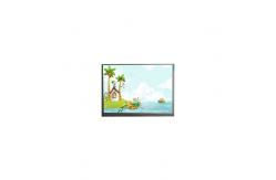 China Original F062A06-4T1 6.2 inch LCD Screen for Mobile Phone supplier