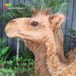 Artificial Realistic Animatronic Animals Customized Size Camel Controlled Remotely for sale