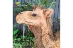 China Artificial Realistic Animatronic Animals Customized Size Camel Controlled Remotely supplier