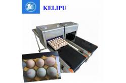 China Computer Control Date Coding Printer With Special Shuttle Transmission Device supplier
