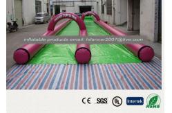 China kids and adult inflatable giant slide 250m long supplier