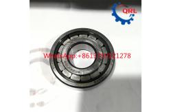 China OEM Cylindrical Roller Bearing SC060702 C VE C3  28x60x18MM supplier