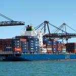 20gp Cheap Sea Freight Lcl And Fcl Shipping From China To USA EU Australia FOB EXW DDP for sale