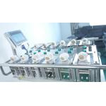 Manual Desk Top 500g 1Kg Weigher Machine For Fruit Vegetable Meat Fish