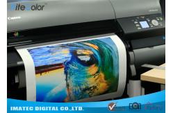 China 380gsm Matte Eco Solvent Printable Canvas , Plotter Inkjet Cotton Canvas Rolls supplier