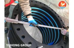 China Customized ASTM A105 / A105N Carbon Steel Black Painted Flange PT UT Available supplier