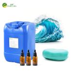 Fragrance Oil Fresh Ocean Strong Smell Fragrance For Soap  Product for sale
