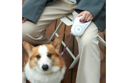 China Strong Extendable Dog Lead Retractable Lead For Large Dogs Fancy Dog Leash supplier