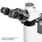OPTO-EDU A14.2605 Inverted Biological Phase Contrast Microscope, Transmit Light, ECO