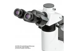 China OPTO-EDU A14.2605 Inverted Biological Phase Contrast Microscope, Transmit Light, ECO supplier