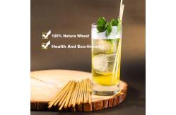 China Compostable Biodegradable Paper Drinking Straws  Naturally Antibacterial supplier