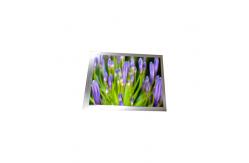 China Mini 2.2 inch PT022TN09-T 176*220 LCD Touch Screen supplier
